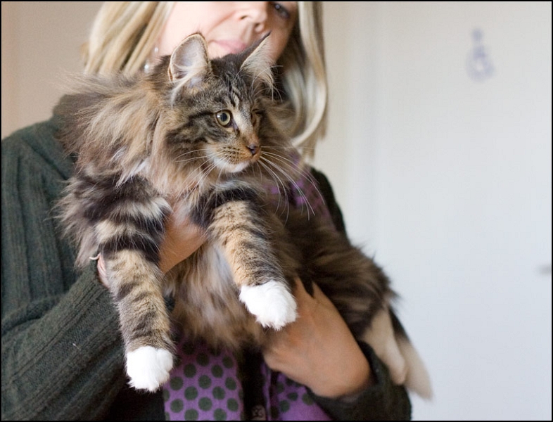 Herbon Jakobusland 2.jpg - Herbon Jakobusland